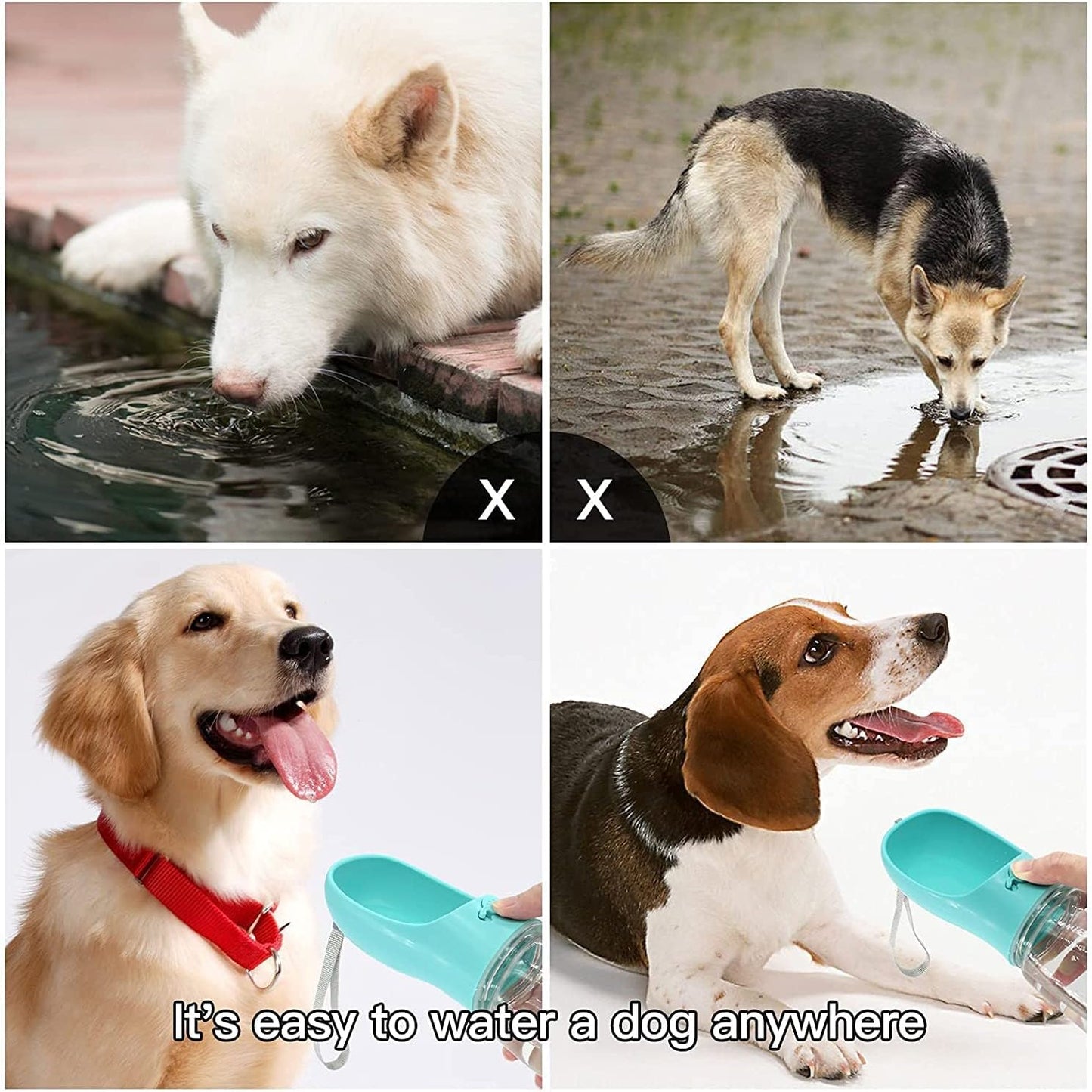 Portable Leak-Proof Dog Water Bottle - 12oz