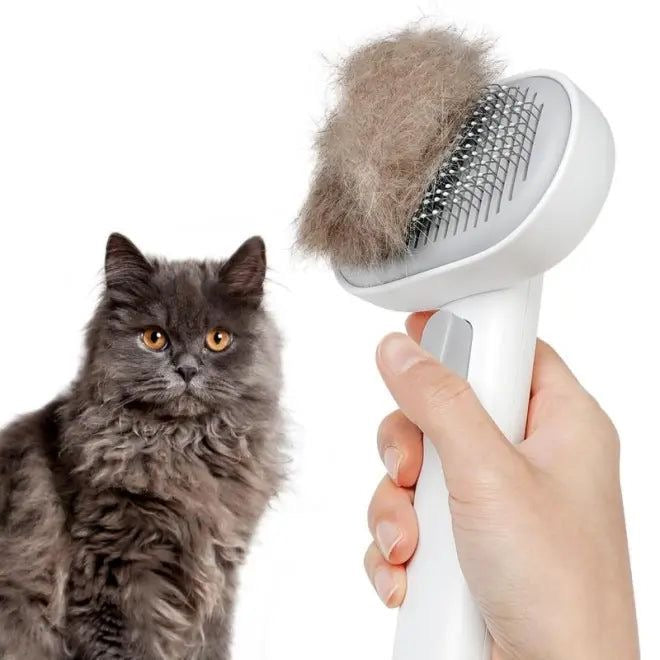 Pet Grooming Brush - Self-Cleaning Slicker Brush