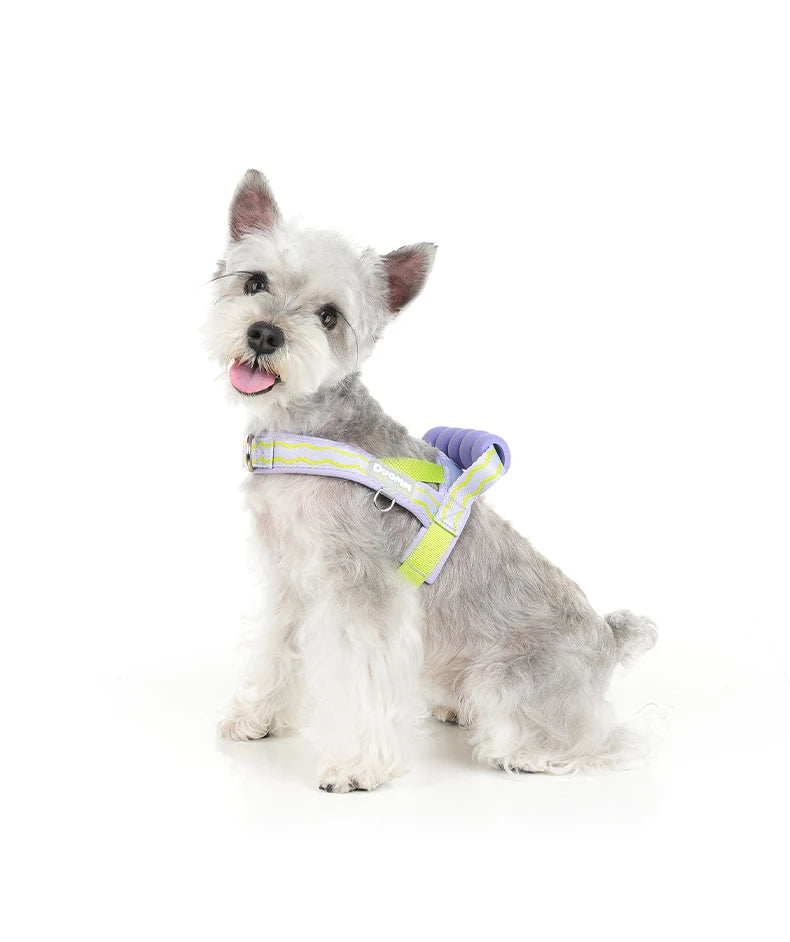 Saddle Dog Harness Soft Padded Foam Handle Liftable Outdoor Walking Puppy Breathable No Choke Small Medium Dog Pet Vest Harness