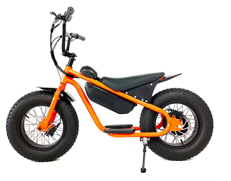 Off-road Electric Vehicle 48V350W High Performance 16 Inch Fat Tires Riding More Stable Electric Dirt Bike For Kids Ebike