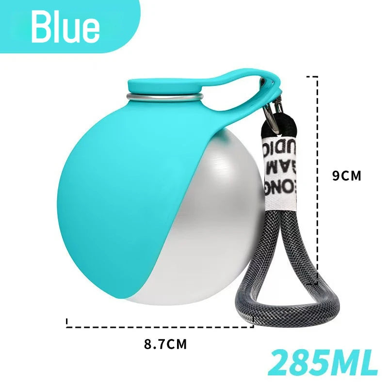 Stainless Steel Foldable Pet Water Bottle