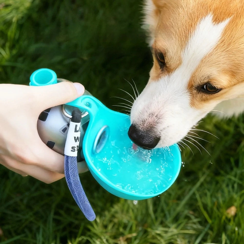 Stainless Steel Foldable Pet Water Bottle