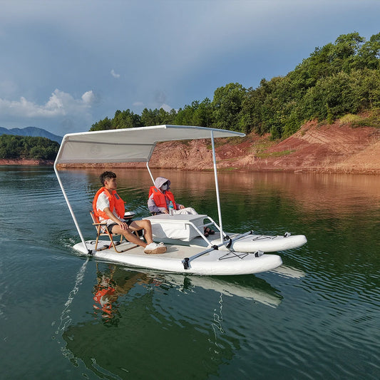 PVC Inflatable Electric Catamaran Boat 2 Person Yacht with Motor Water Amusement Fishing Boat for Sightseeing Cruising Vibely Store