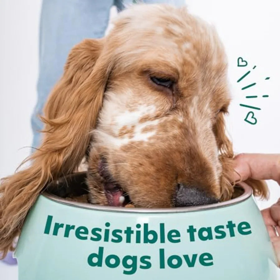 Wet Dog Food Small Breed Variety Pack - Grain Free Recipe High Protein Tender Morsels in Aspic Made with Natural Ingredients fo