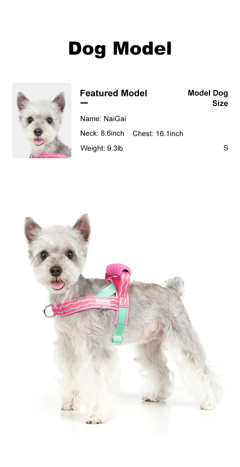 Saddle Dog Harness Soft Padded Foam Handle Liftable Outdoor Walking Puppy Breathable No Choke Small Medium Dog Pet Vest Harness
