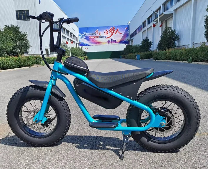 Off-road Electric Vehicle 48V350W High Performance 16 Inch Fat Tires Riding More Stable Electric Dirt Bike For Kids Ebike