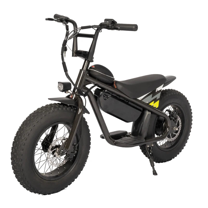 Off-road Electric Vehicle 48V350W High Performance 16 Inch Fat Tires Riding More Stable Electric Dirt Bike For Kids Ebike