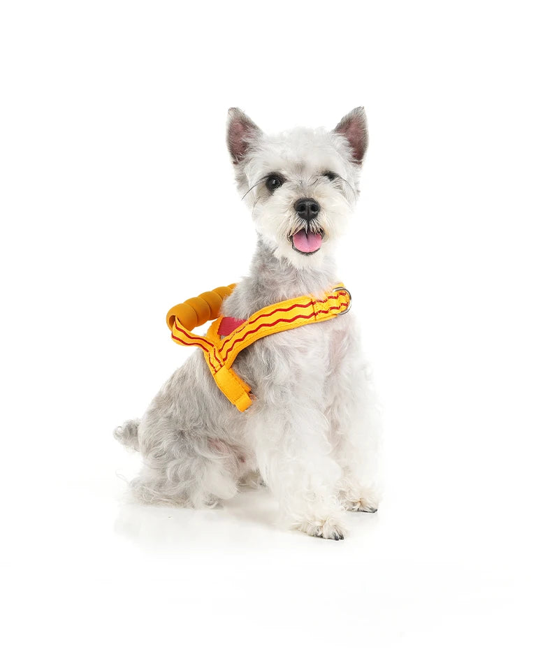 Saddle Dog Harness Soft Padded Foam Handle Liftable Outdoor Walking Puppy Breathable No Choke Small Medium Dog Pet Vest Harness
