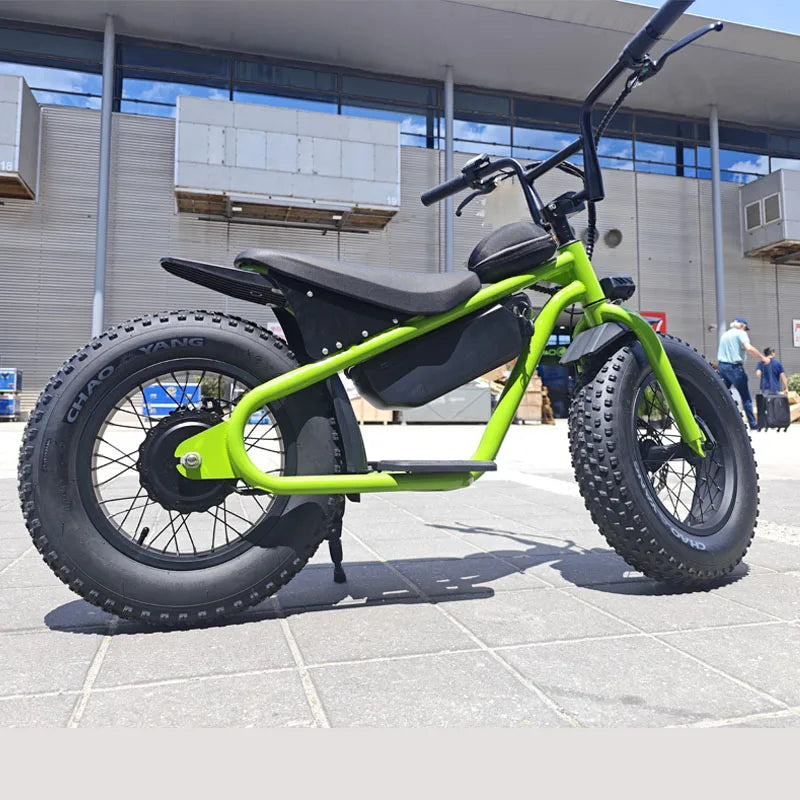 Off-road Electric Vehicle 48V350W High Performance 16 Inch Fat Tires Riding More Stable Electric Dirt Bike For Kids Ebike