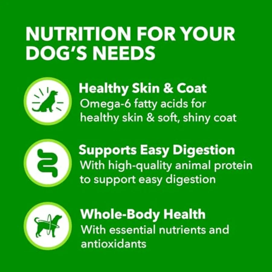 Proactive Health Senior Wet Dog Food, Classic Ground Dog Wet Food, Slow Cooked Chicken and Rice, 13 oz. Cans Pack of 12
