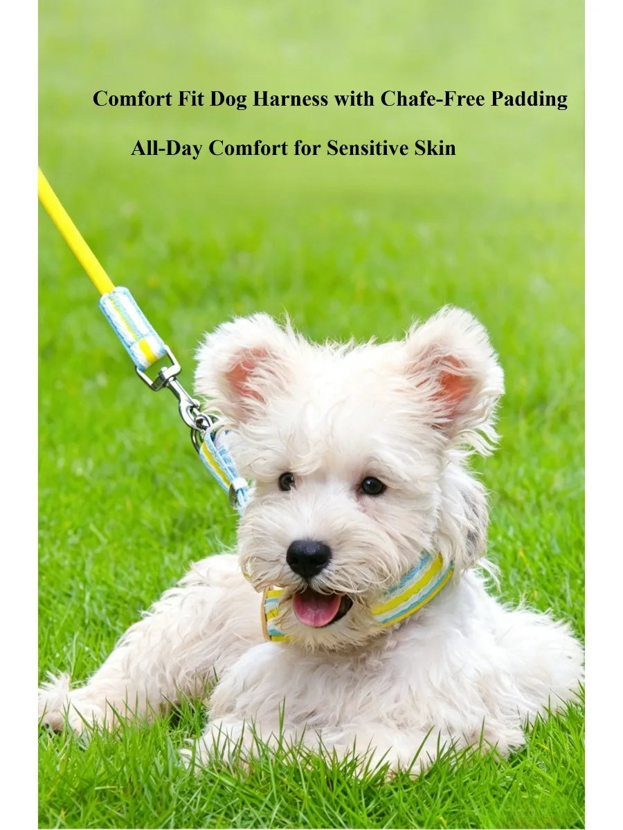 No Pull Y-shaped Dog Harness Leash Set for Small Dogs Chest Straps Anti-Twist Lightweight Harness Shiba Inu Corgi Pets Outdoor