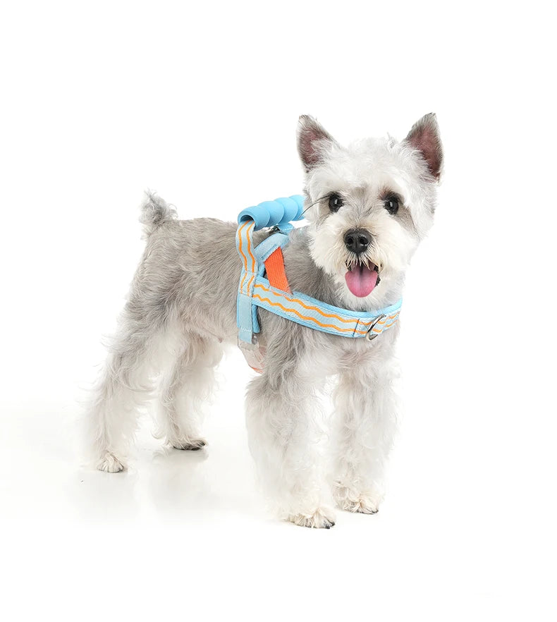 Saddle Dog Harness Soft Padded Foam Handle Liftable Outdoor Walking Puppy Breathable No Choke Small Medium Dog Pet Vest Harness
