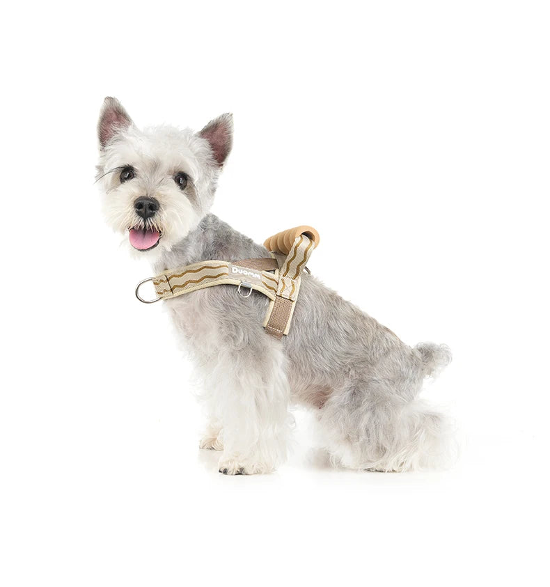 Saddle Dog Harness Soft Padded Foam Handle Liftable Outdoor Walking Puppy Breathable No Choke Small Medium Dog Pet Vest Harness