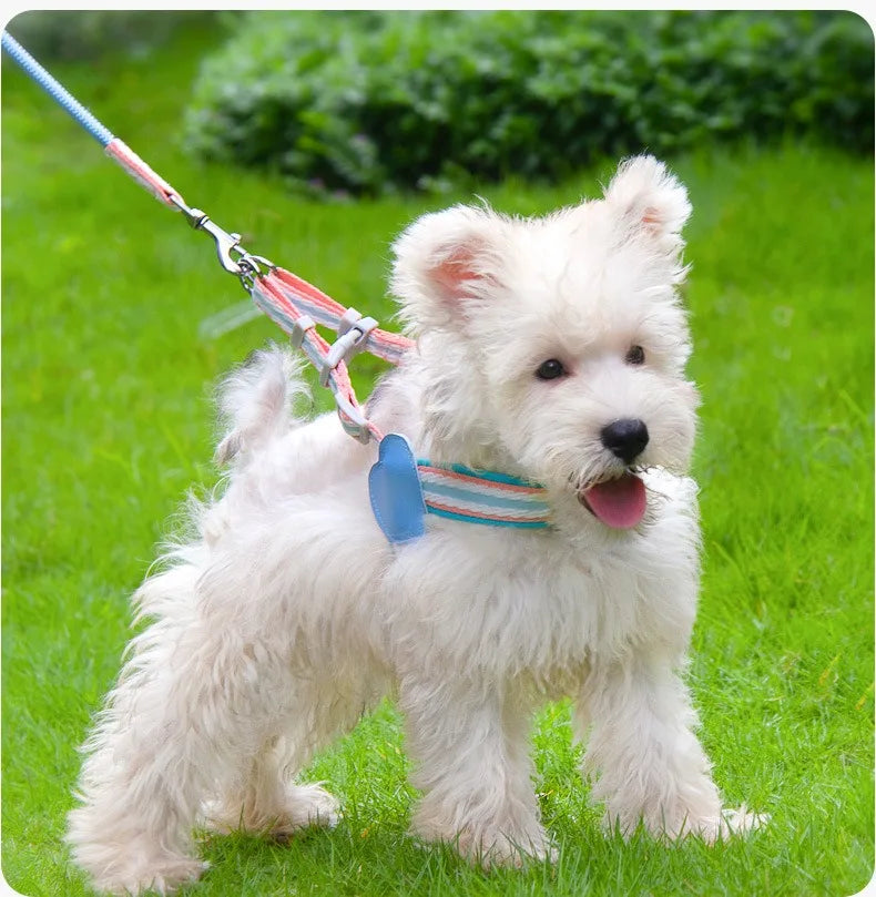 No Pull Y-shaped Dog Harness Leash Set for Small Dogs Chest Straps Anti-Twist Lightweight Harness Shiba Inu Corgi Pets Outdoor