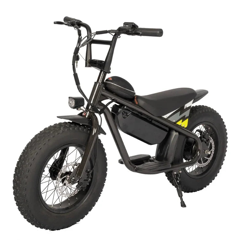 Off-road Electric Vehicle 48V350W High Performance 16 Inch Fat Tires Riding More Stable Electric Dirt Bike For Kids Ebike