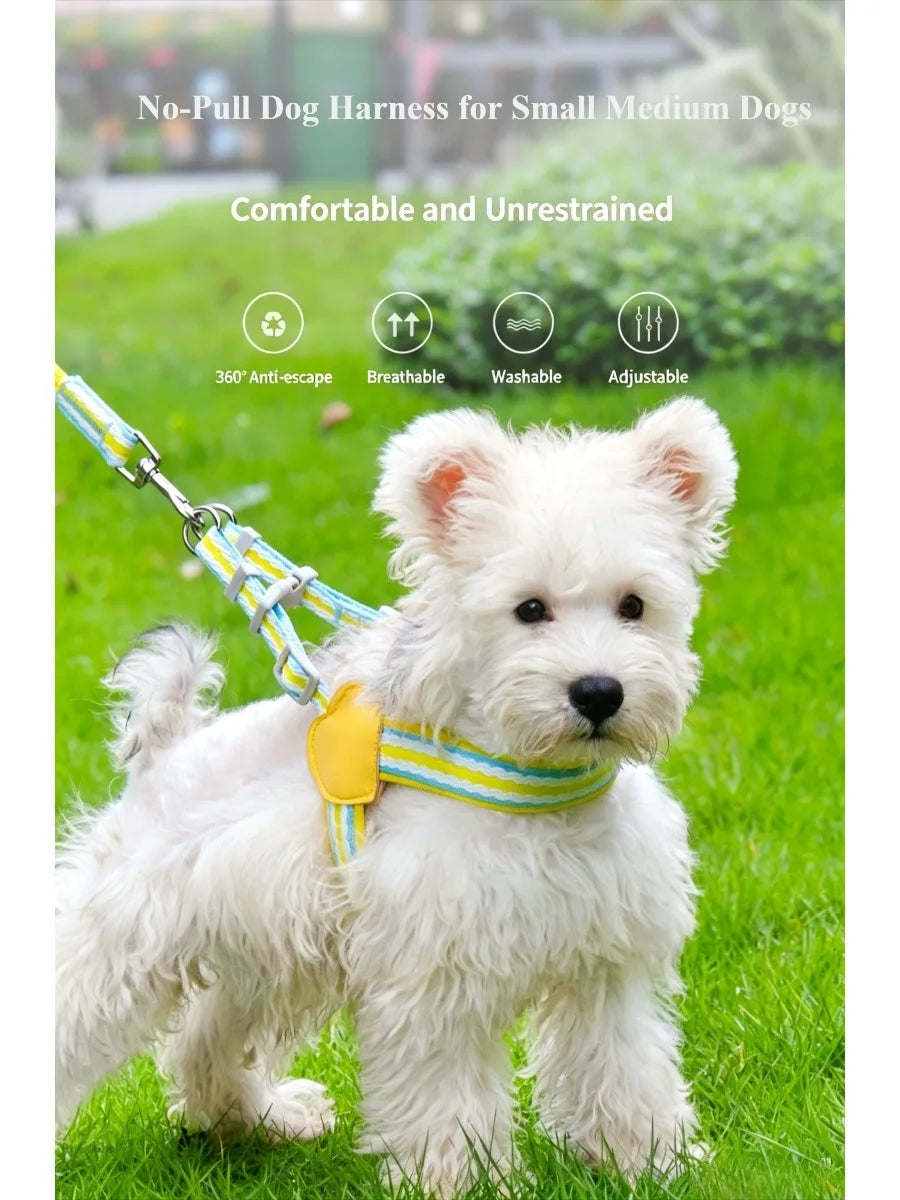 No Pull Y-shaped Dog Harness Leash Set for Small Dogs Chest Straps Anti-Twist Lightweight Harness Shiba Inu Corgi Pets Outdoor