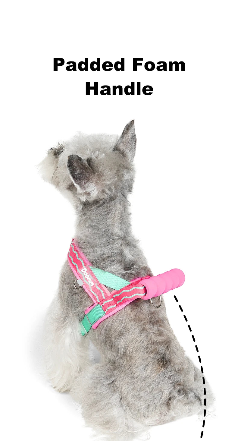 Saddle Dog Harness Soft Padded Foam Handle Liftable Outdoor Walking Puppy Breathable No Choke Small Medium Dog Pet Vest Harness