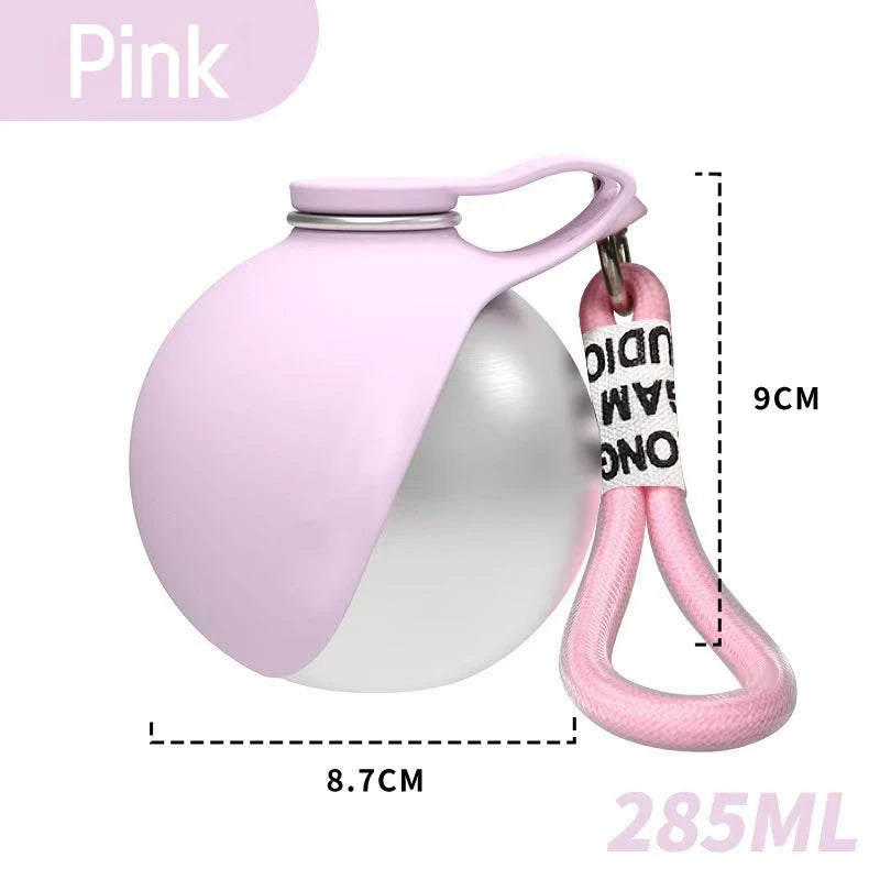 Stainless Steel Foldable Pet Water Bottle